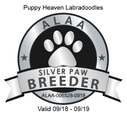 ALAA Silver Paw Alberta