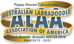 ALAA Member Breeder AB